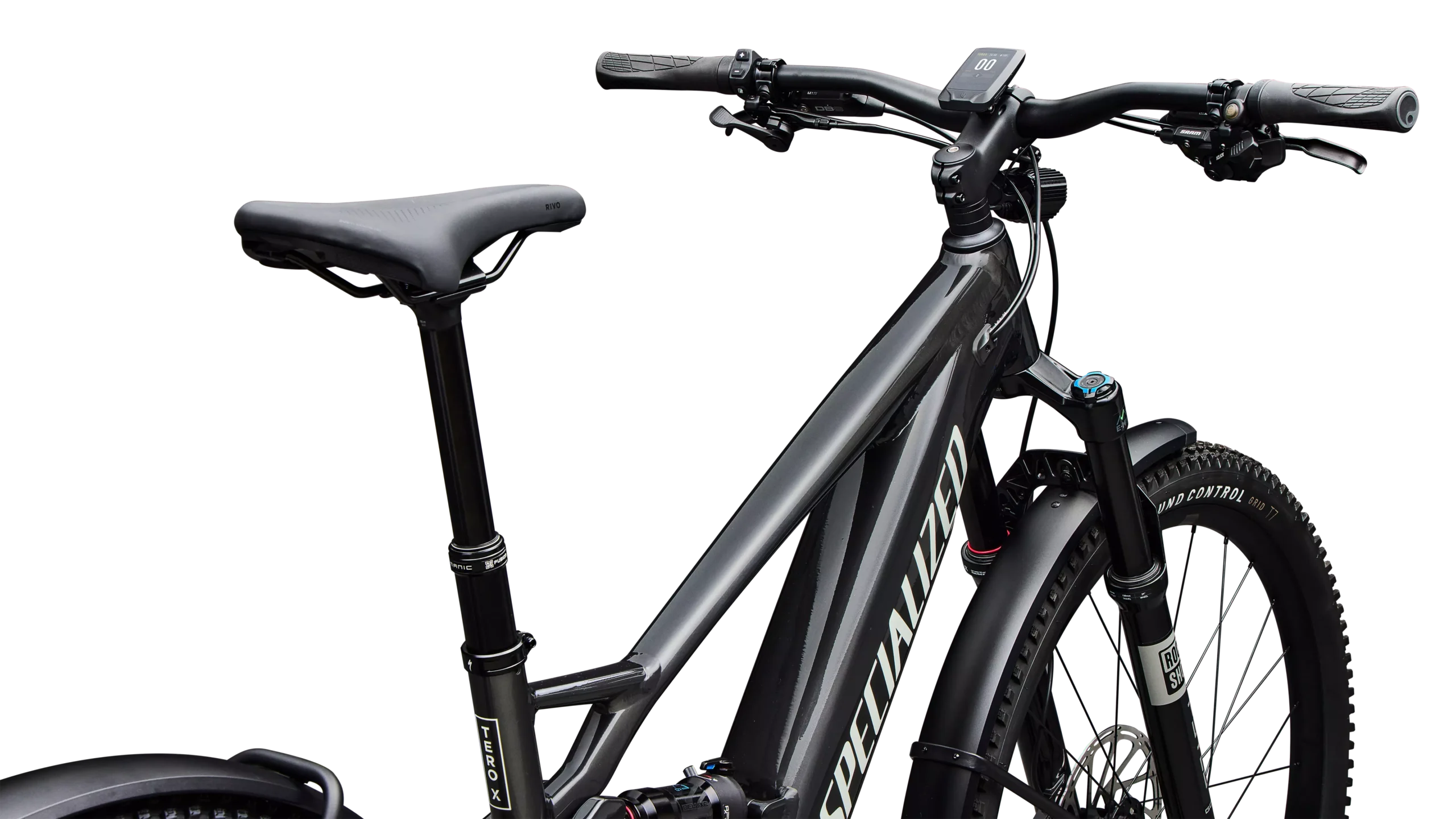 91625 15 TERO X 60 29 METOBSD BRCH 4 scaled