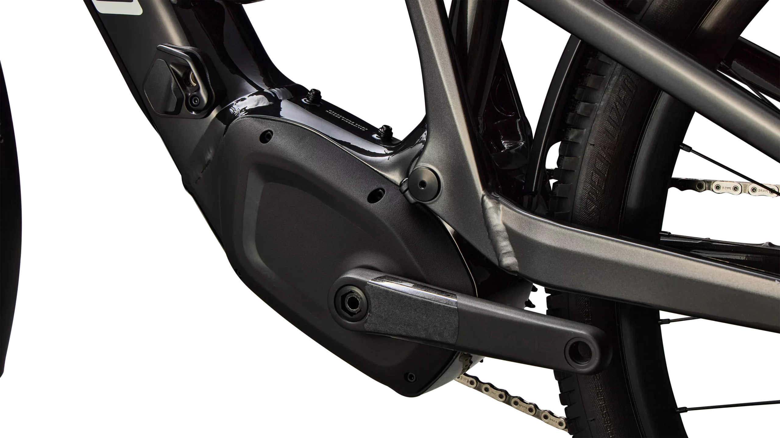 91625 15 TERO X 60 29 METOBSD BRCH 7 scaled