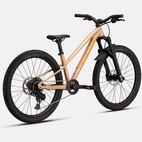 96526 51 RIPROCK COMP 24 PTNORGTNT FLKSIL ORGZS 1